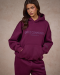 BASICS HOODIE DARK PLUM